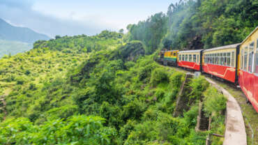 Shimla