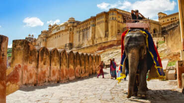 Jaipur, Rajasthan